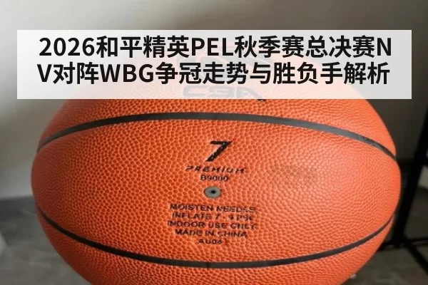 2026和平精英PEL秋季赛总决赛NV对阵WBG争冠走势与胜负手解析