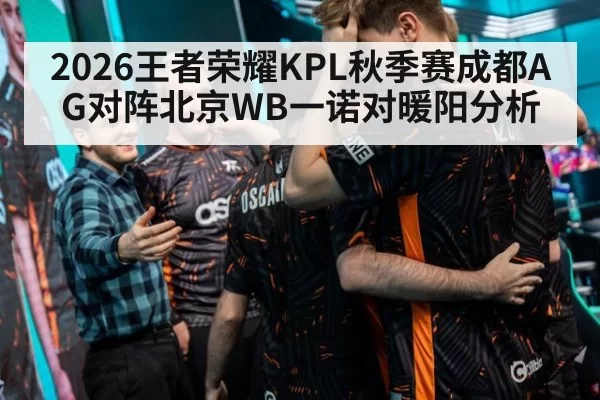 2026王者荣耀KPL秋季赛成都AG对阵北京WB一诺对暖阳分析